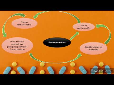 Mapa conceptual de farmacodinamia: Guía completa