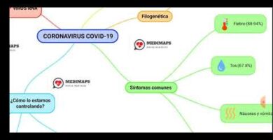 Mapa conceptual de virus: todo lo que necesitas saber