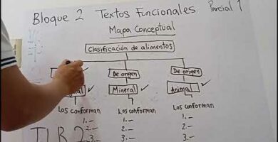 Mapa conceptual textos funcionales: guía práctica